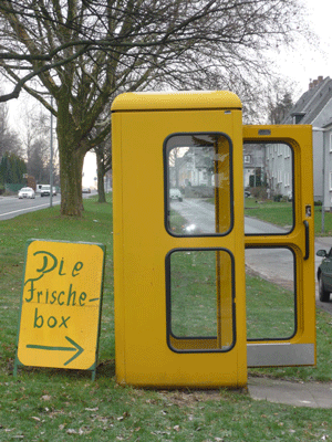 die friesche box