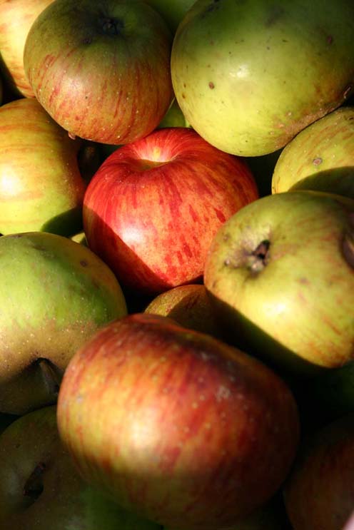 Äpfel